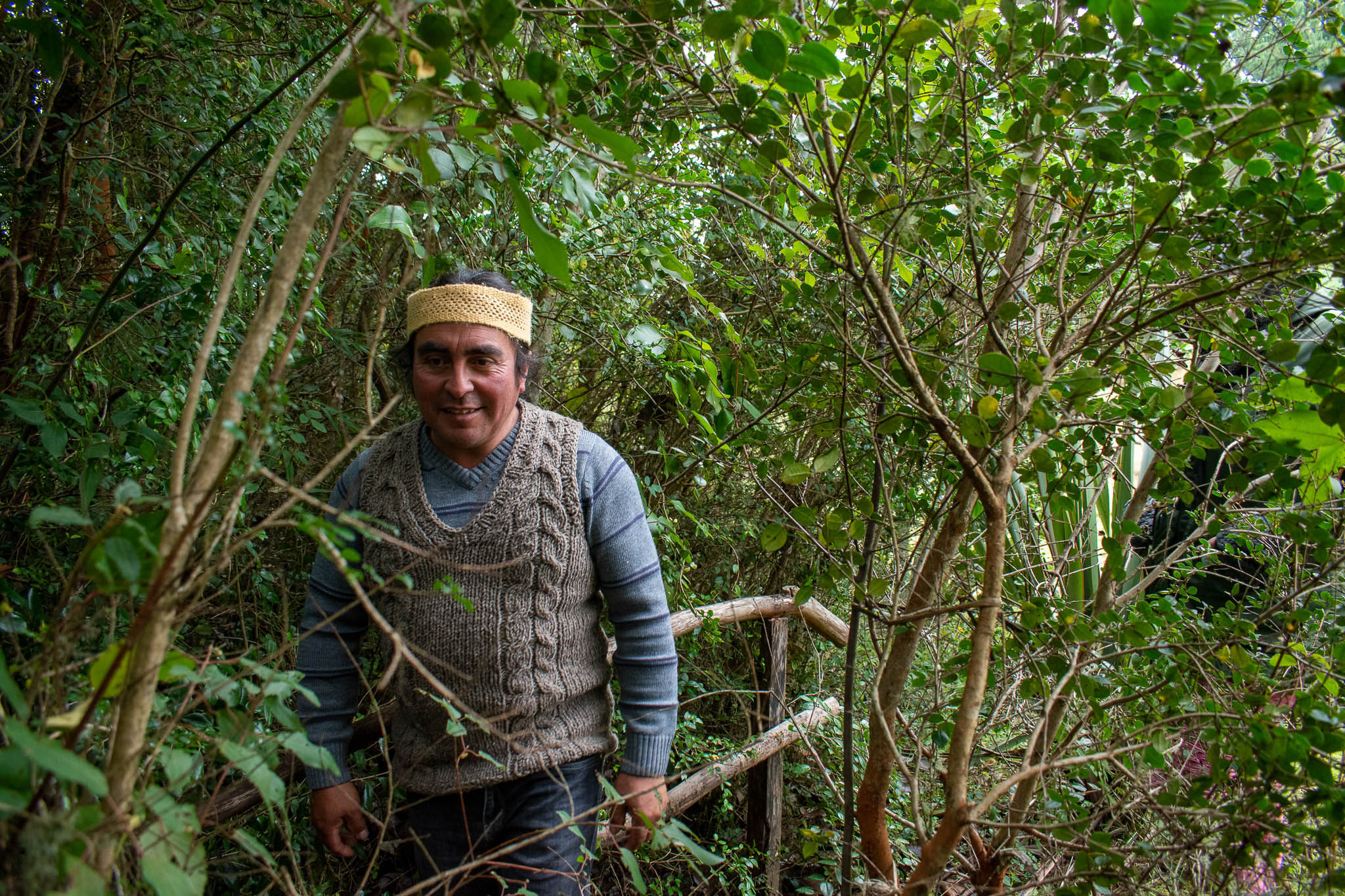 Tour Mapuche
