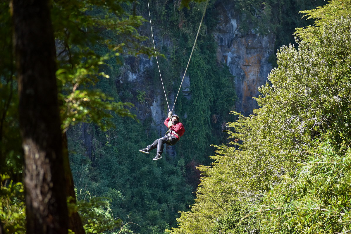 Canopy