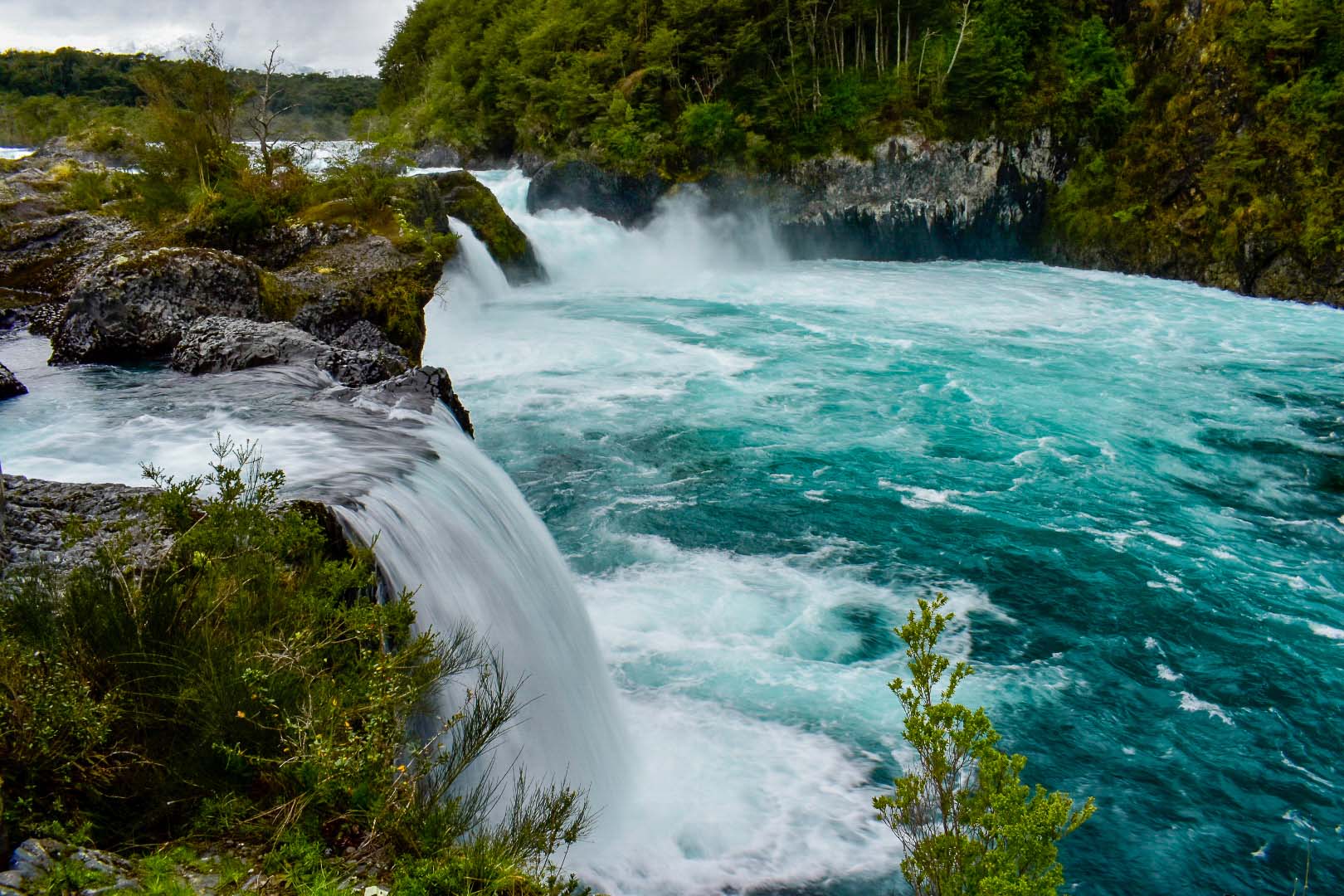 Saltos de PTH